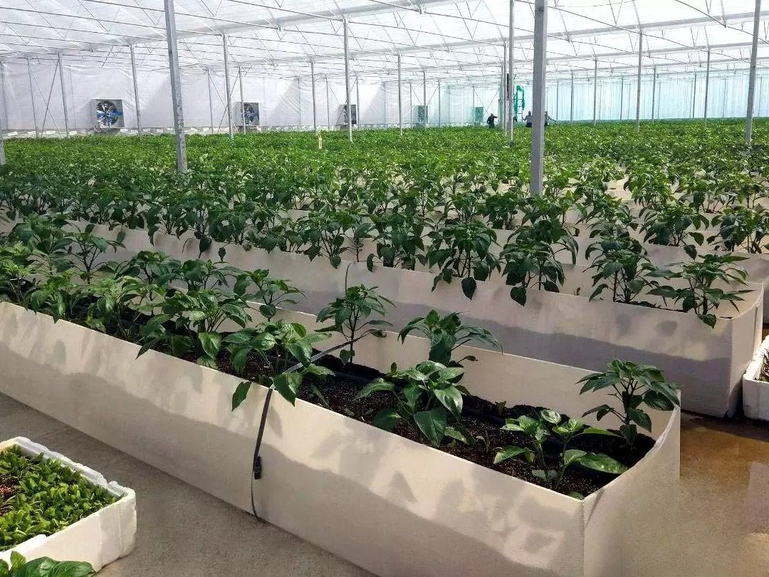 agriculture-industry